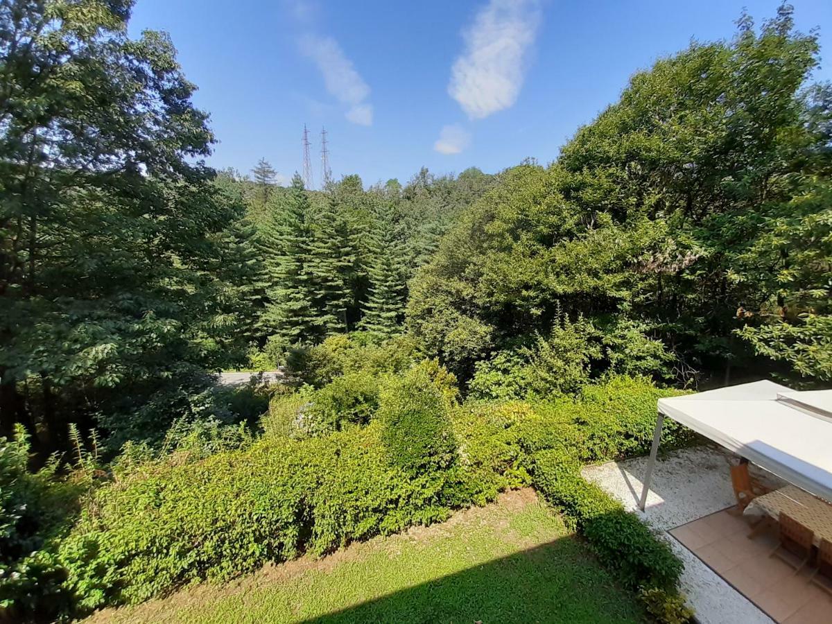 B&B La Casa Nel Bosco Invorio Inferiore Exteriér fotografie